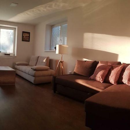 Vip Apartmany Zabnik プリエヴィドザ エクステリア 写真